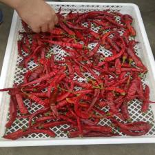 小型花椒烘干機      電加熱花椒烘干機