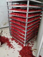 辣椒烘干機    網帶辣椒烘干機   鄭州辣椒烘干機多少錢